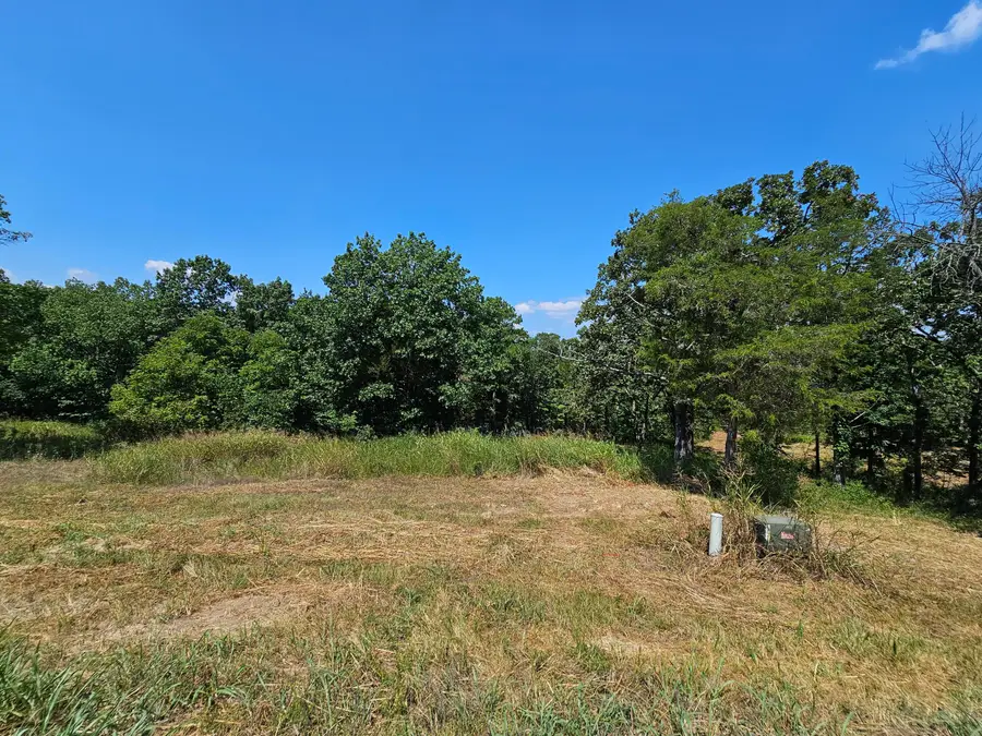 Lot 42 Valencia Court, Blue Eye, MO 65611 - Image #3