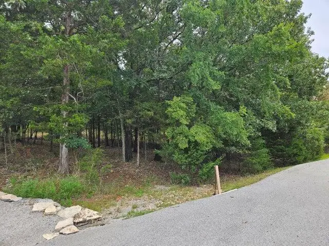 Lots 19/3 Overlook, Kimberling City, MO 65686 - Image #2