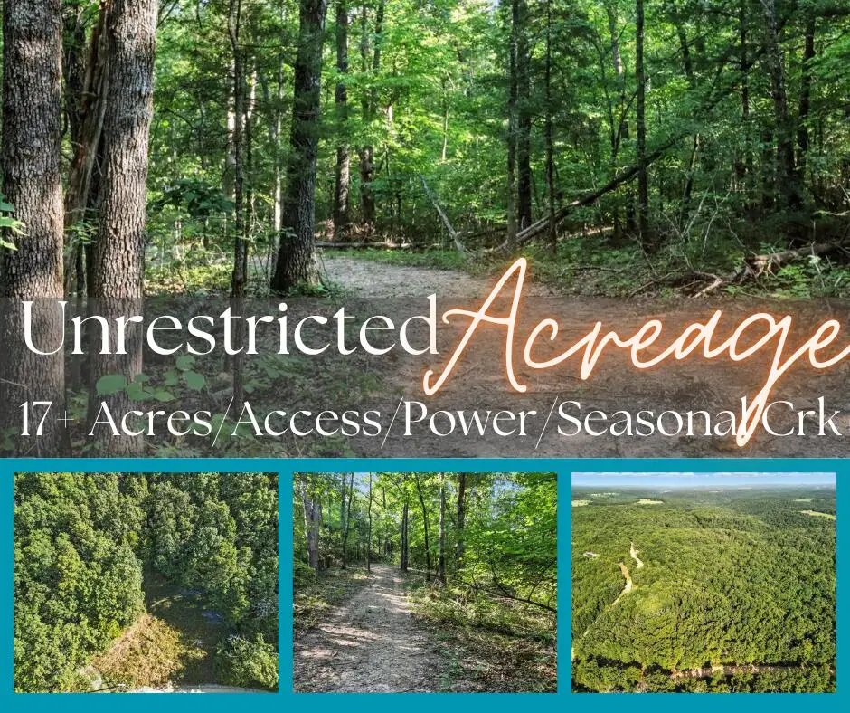 000 Co Rd C-228, Norwood, MO 65717 - Image #1