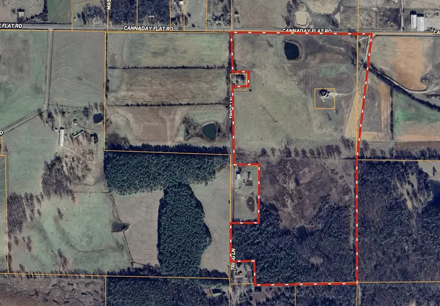 1 Cannaday Flat Road, Hector, AR 72843 - Image #2