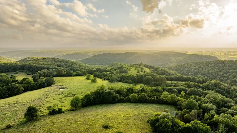 3225 Fairview Road, Chadwick, MO 65629 - Image #3