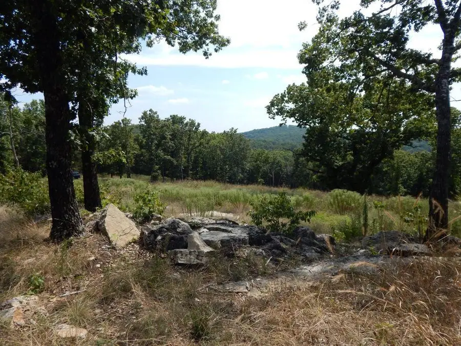 000 County Road 827, Gainesville, MO 65655 - Image #2