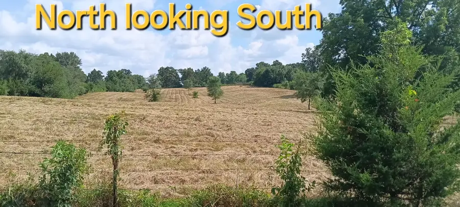 000 Fifth Street, Miller, MO 65707 - Image #2