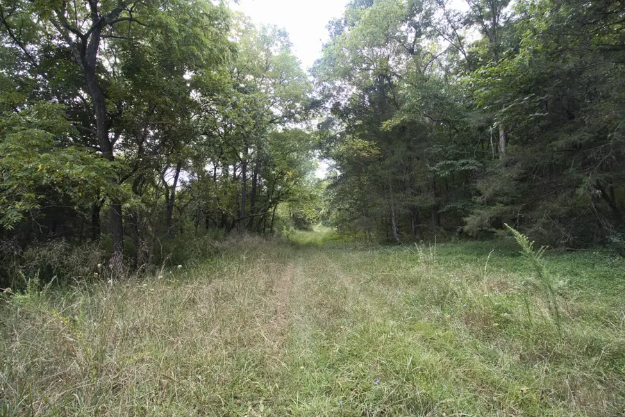 Tract 3b4 Route 4, Squires, MO 65755 - Image #3