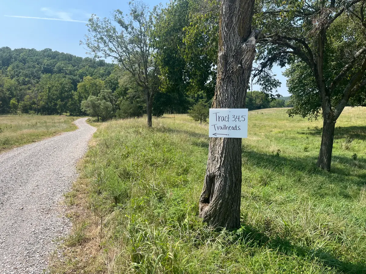 Tract 3b Route 4, Squires, MO 65755 - Image #1