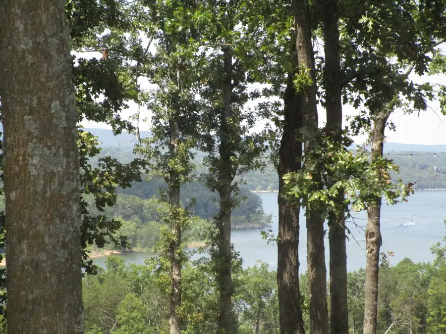 000 Farm Road 2250, Golden, MO 65658 - Image #3