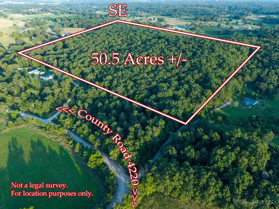 000 County Road 4290, West Plains, MO 65775 - Image #2