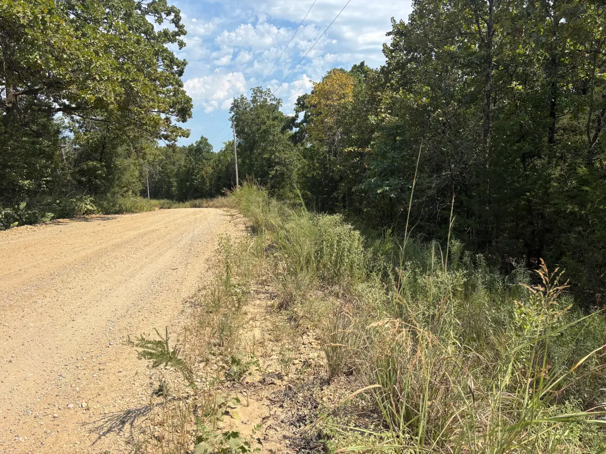 Tbd County Road 804, Gainesville, MO 65655 - Image #1