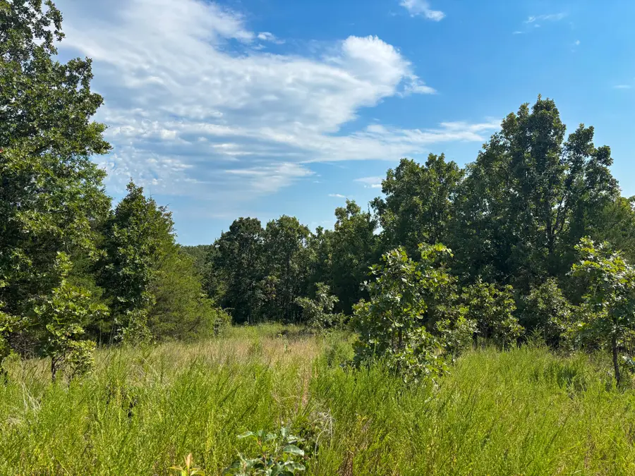 Tbd County Road 804, Gainesville, MO 65655 - Image #2