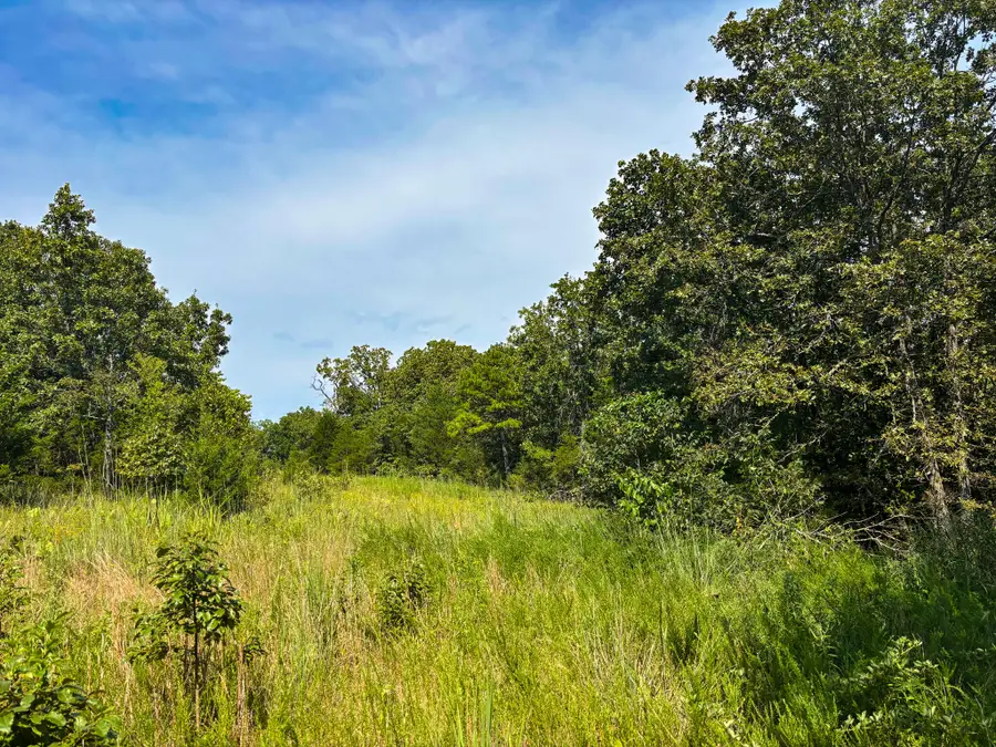 Tbd County Road 804, Gainesville, MO 65655 - Image #3