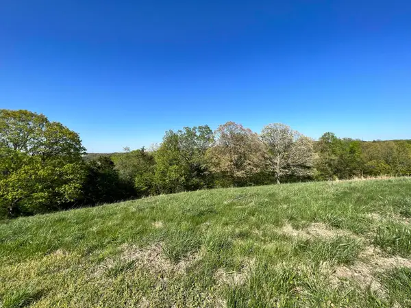 Lot 58 Eagle Crest Circle, Hollister, MO 65672
