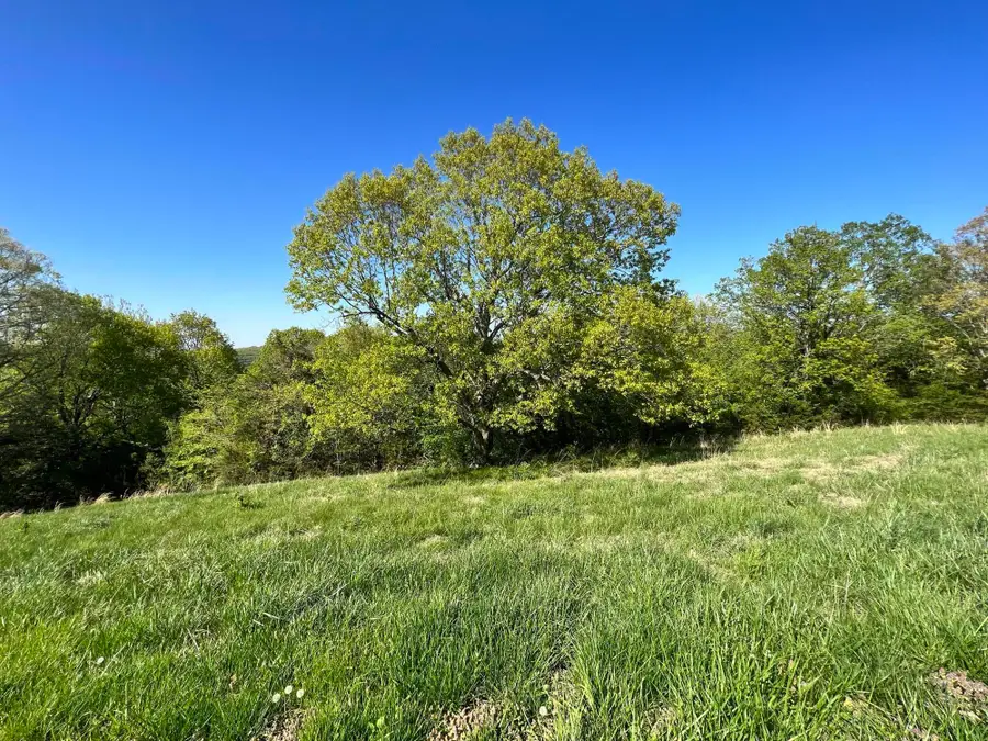 Lot 58 Eagle Crest Circle, Hollister, MO 65672 - Image #3
