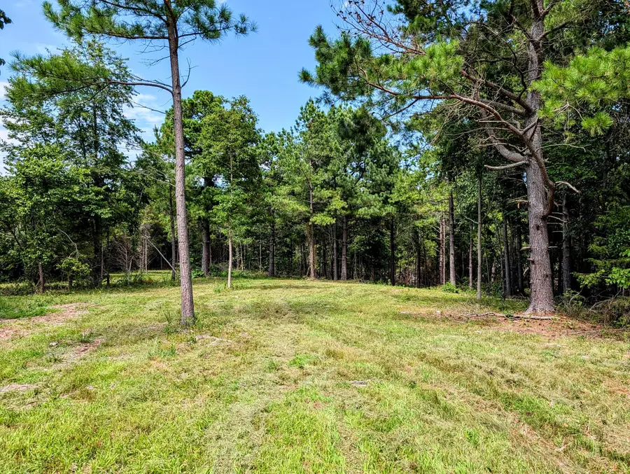 651 Emerald Road, Spokane, MO 65754 - Image #3