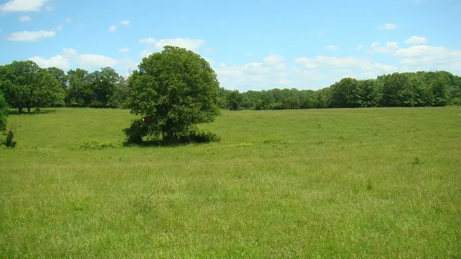 00 Track 3 State Rout W, Mountain View, MO 65548 - Image #3