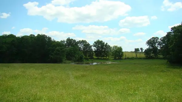 00 Track 4 State Route W, Mountain View, MO 65548