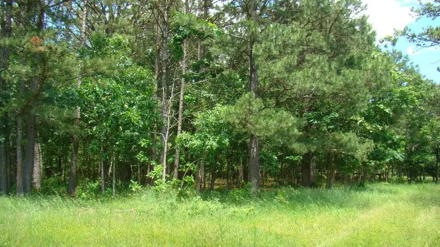 00 Track 5 State Route W, Mountain View, MO 65548 - Image #2