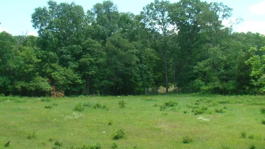 00 Track 5 State Route W, Mountain View, MO 65548 - Image #3