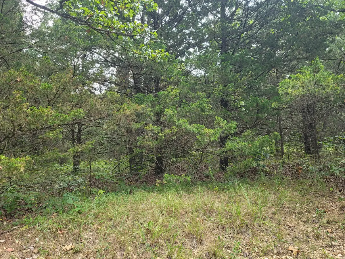 000 Graff Rd, Graff, MO 65660 - Image #1