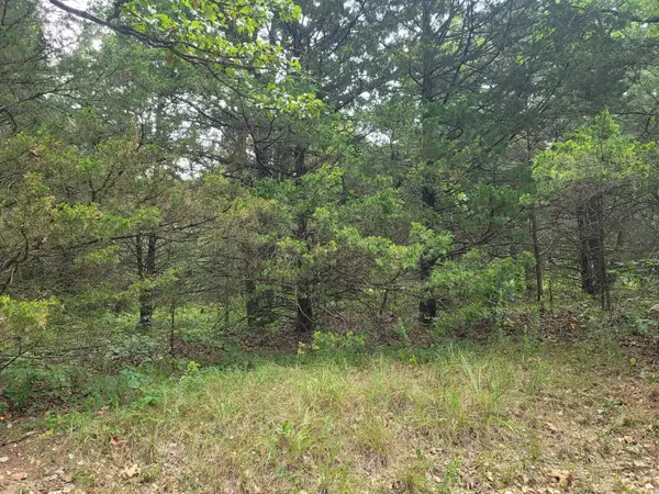 000 Graff Rd, Graff, MO 65660