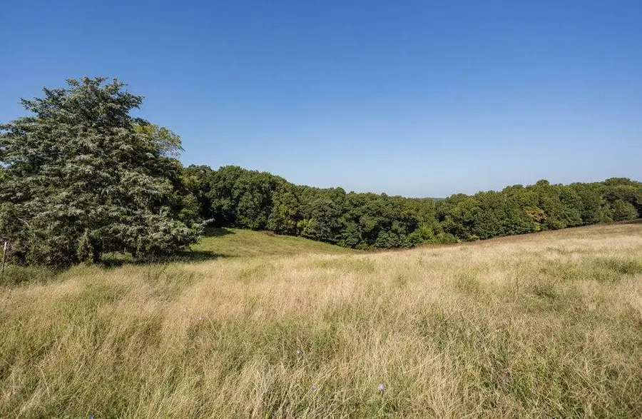 16478 Farm Road 1170, Mineral, MO 65623 - Image #2