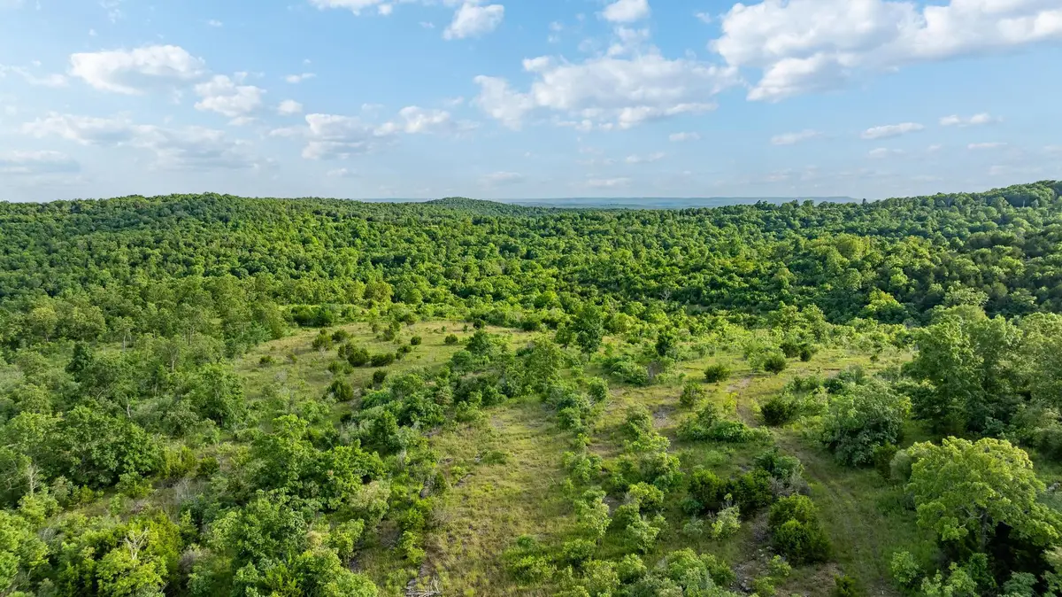 237 Lawrence Lane, Theodosia, MO 65761 - #1