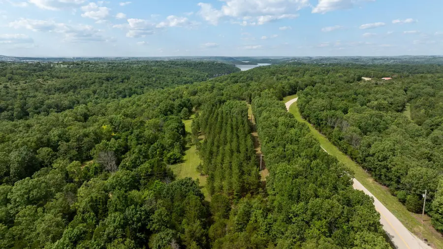 237 Lawrence Lane, Theodosia, MO 65761 - #2