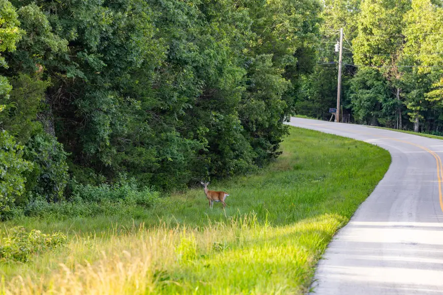 237 Lawrence Lane, Theodosia, MO 65761 - #3