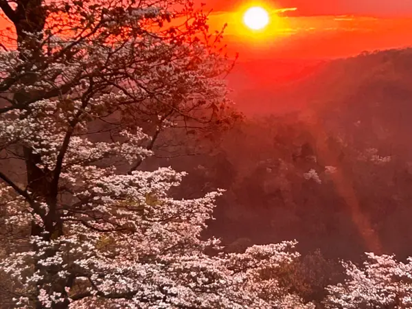 23796 Farm Road 1090, Washburn, MO 65772