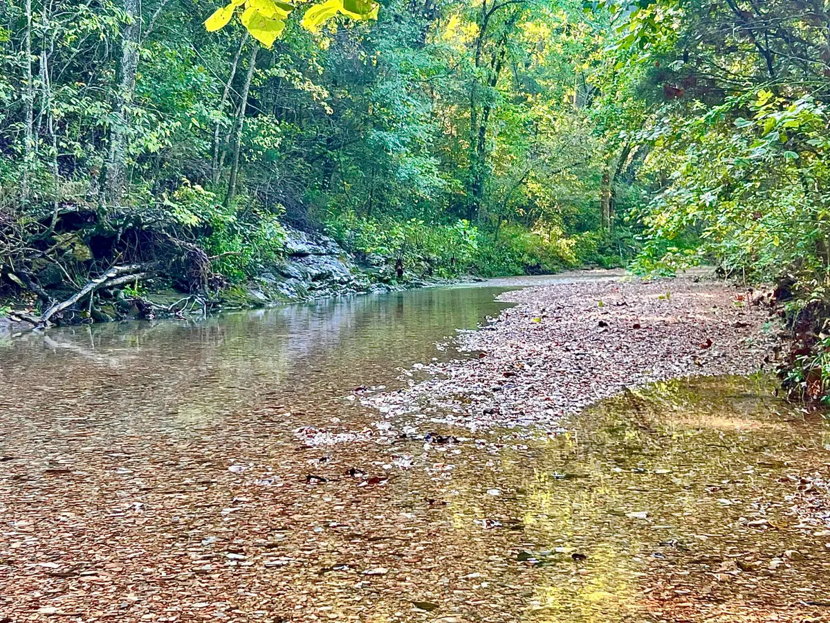 24 Ridge Road, Washburn, MO 65772 - Image #1