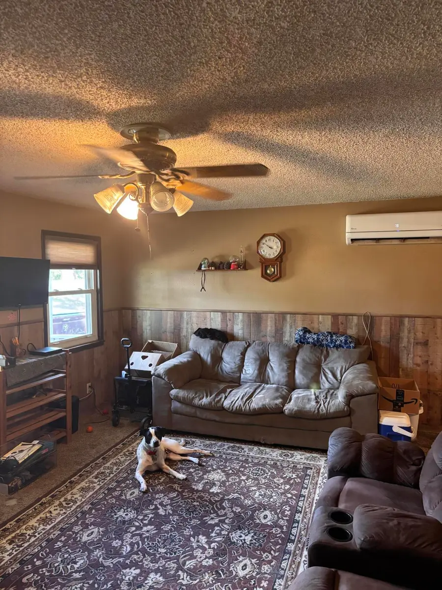 703 Highway F, Anderson, MO 64831 - Image #3