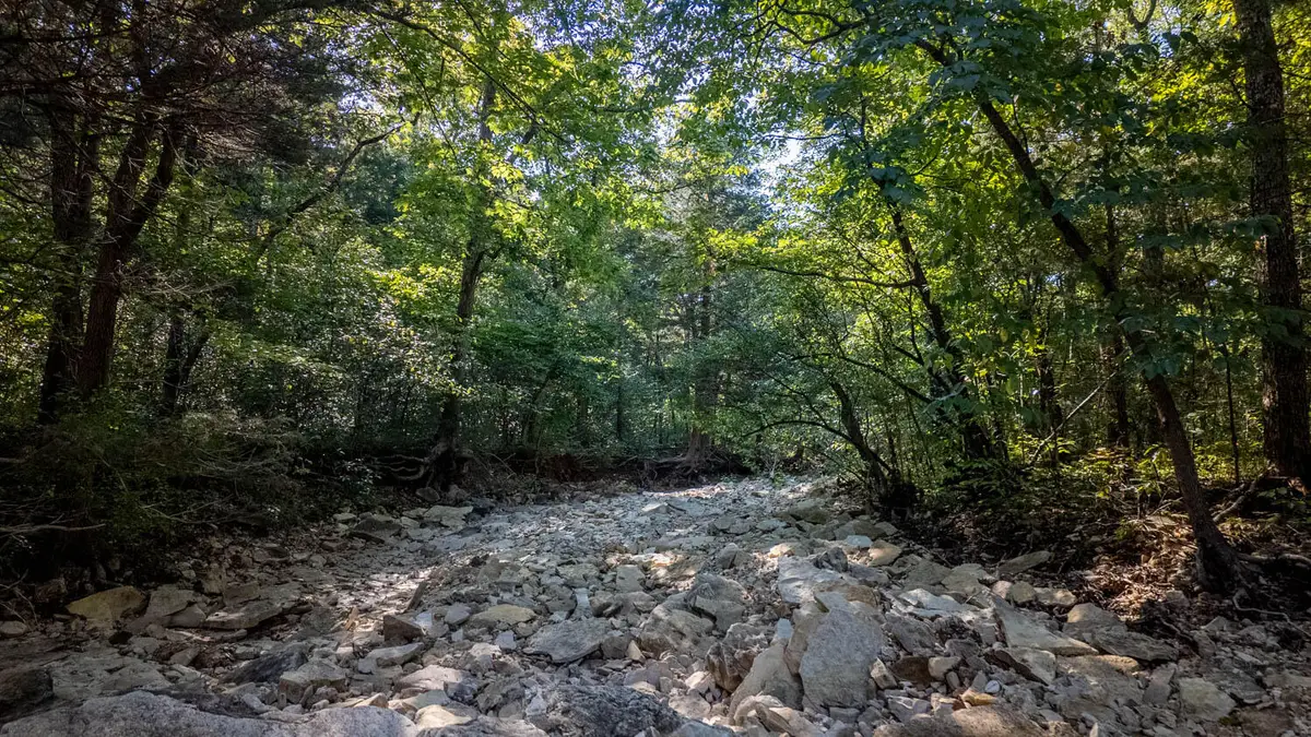 000 Calhan Circle, Clarkridge, AR 72623 - Image #1