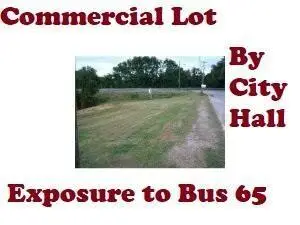 110 Esplanade Drive, Hollister, MO 65672 - Image #3