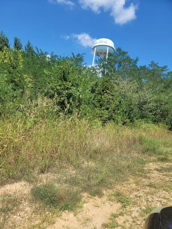 149 E Hines Street, Fair Grove, MO 65648