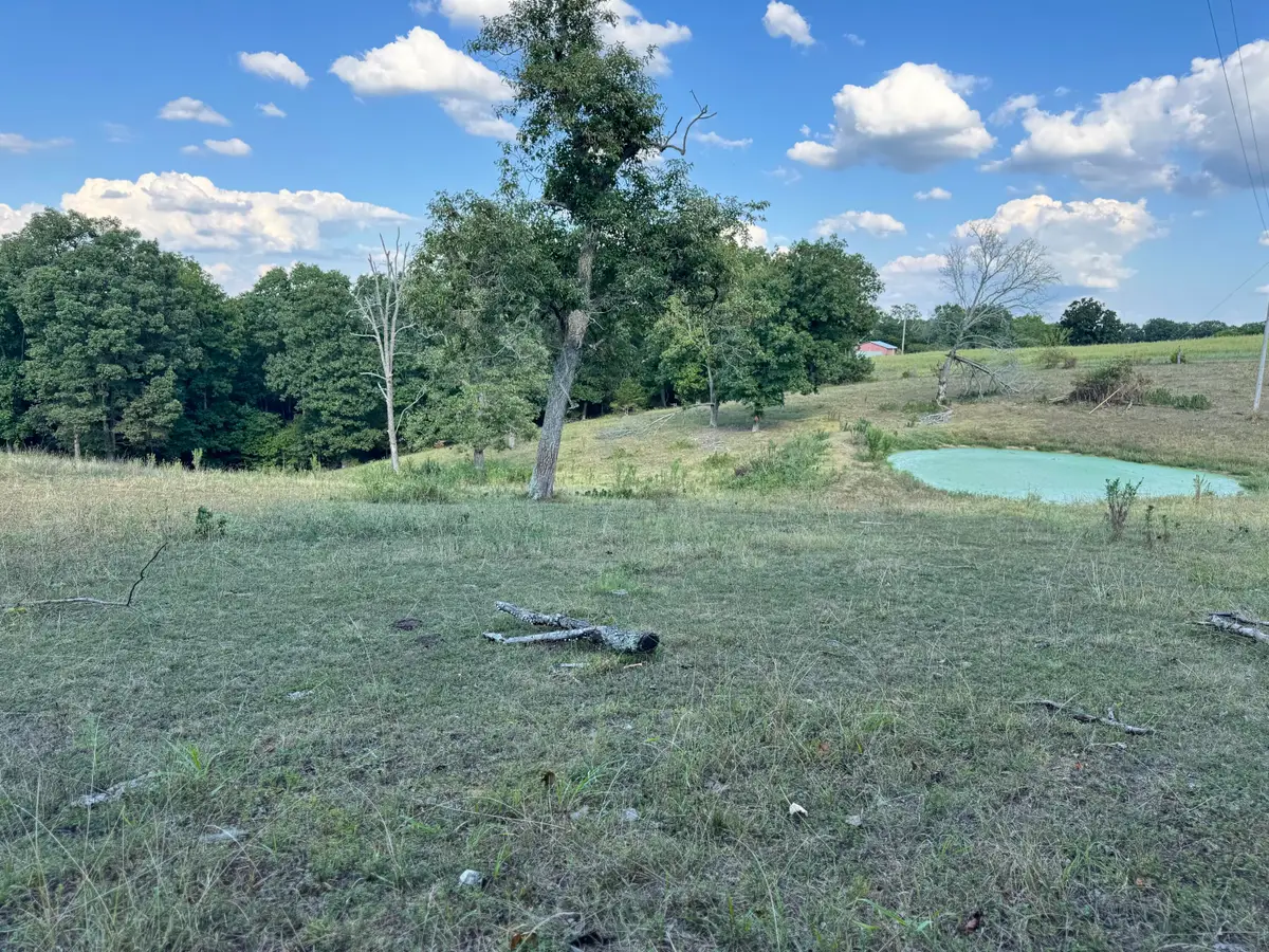 000 Center Road, Ozark, MO 65721 - Image #1