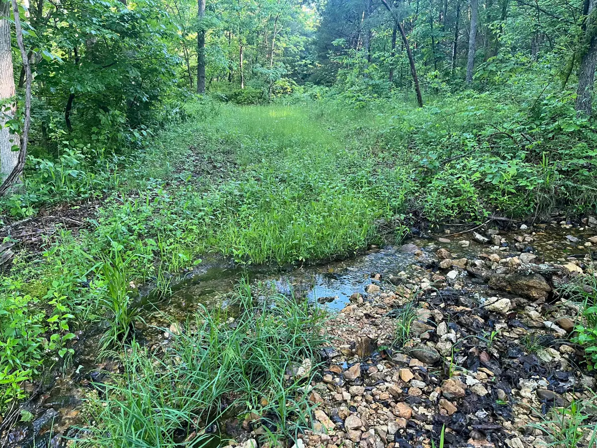 000 County Road P-305, Ava, MO 65608 - Image #1