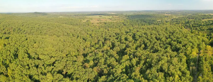 000 County Road P-305, Ava, MO 65608 - Image #2