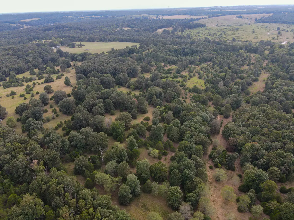 Tract 1 Co Rd 347, Koshkonong, MO 65692 - Image #1