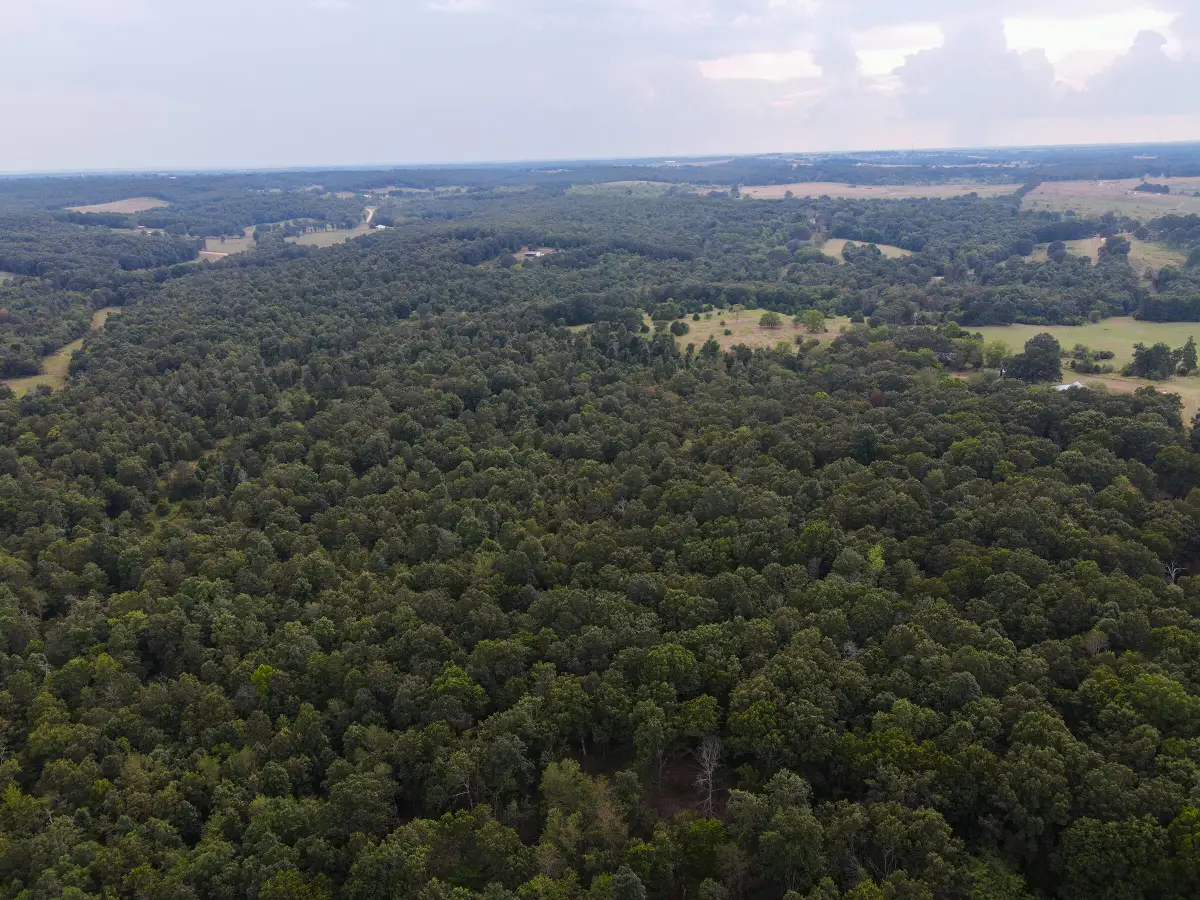 Tract 2 Co Rd 347, Koshkonong, MO 65692 - Image #1