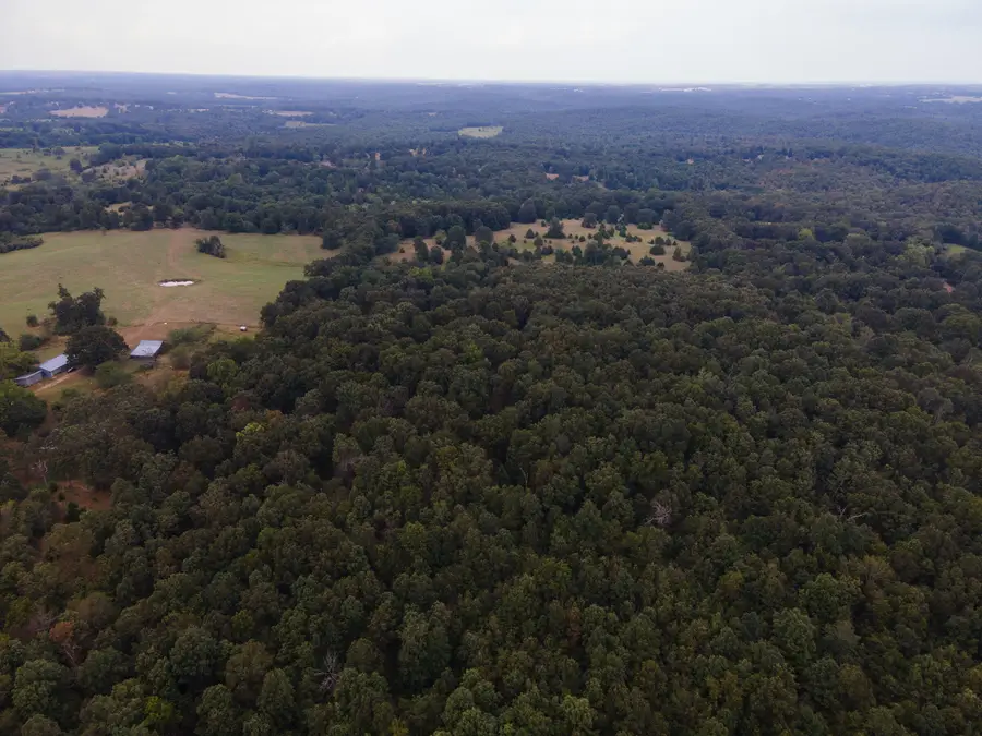 Tract 2 Co Rd 347, Koshkonong, MO 65692 - Image #3