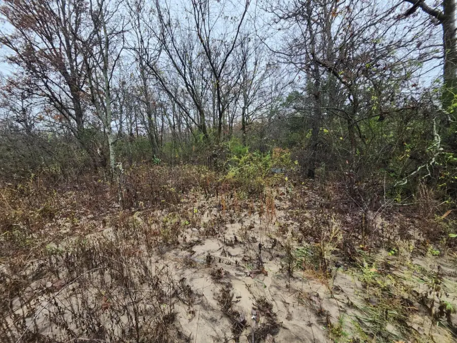 000 Tbd Emery Road, Bucyrus, MO 65444 - Image #2
