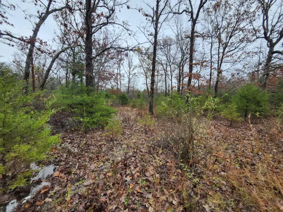 000 Tbd Emery Road, Bucyrus, MO 65444 - Image #3