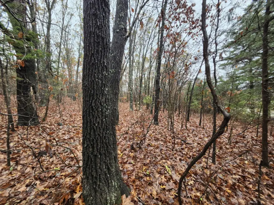 000 Tbd Emery Road, Bucyrus, MO 65444 - Image #2