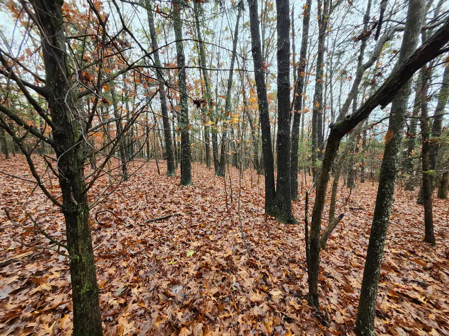 000 Tbd Emery Road, Bucyrus, MO 65444 - Image #3