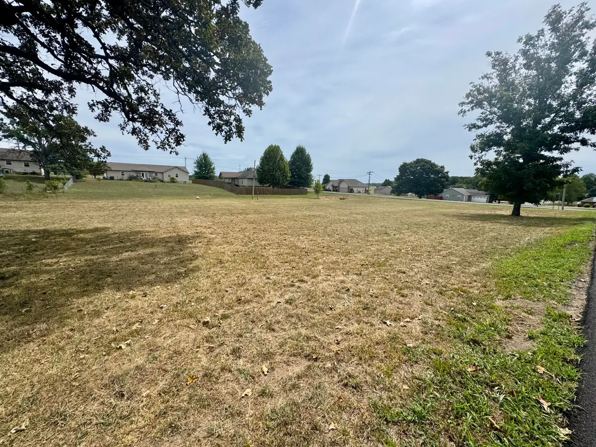 000 Lee Anna Drive, West Plains, MO 65775 - Image #1