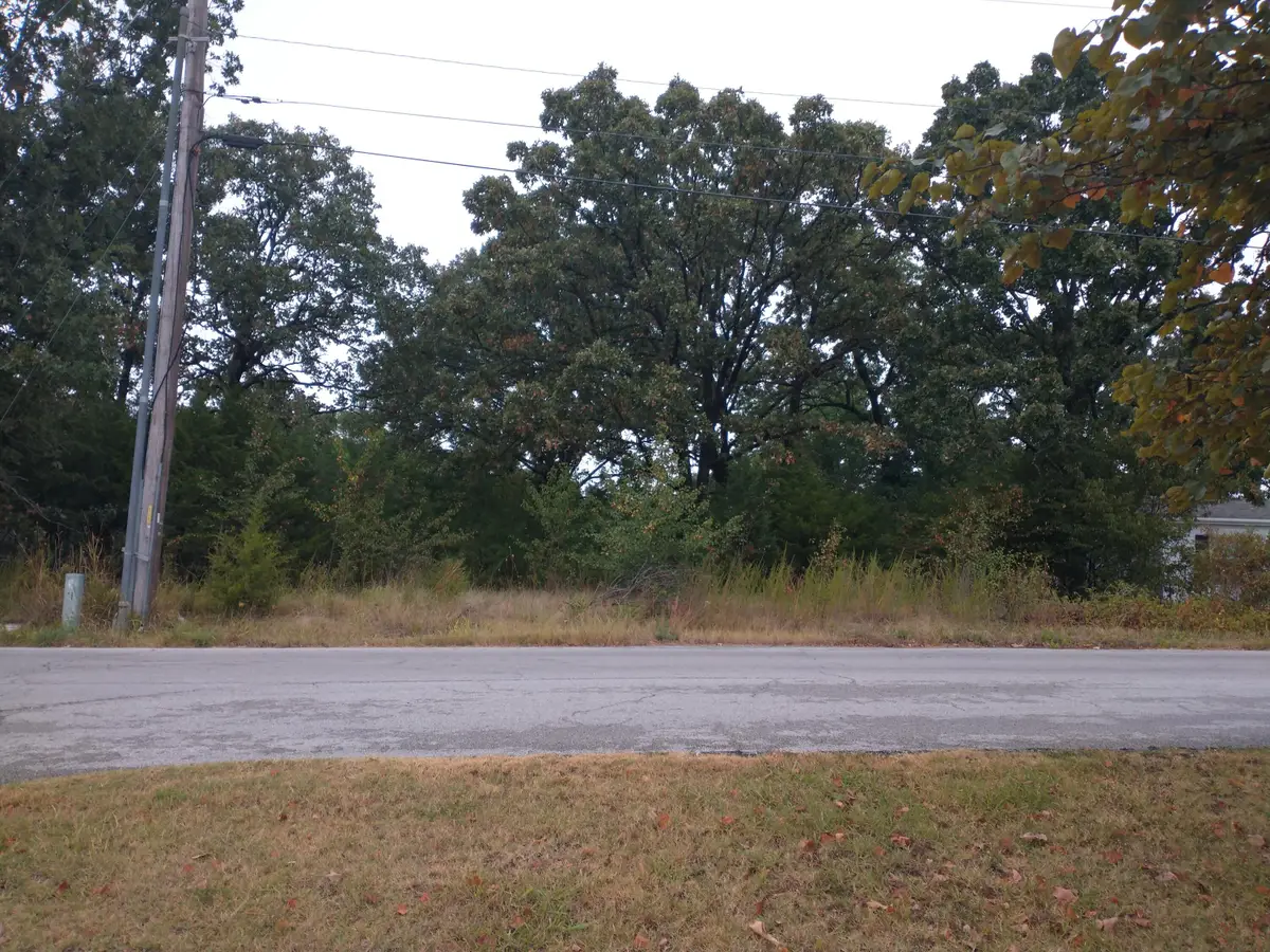 237 Dakota Road, Branson, MO 65616 - Image #1