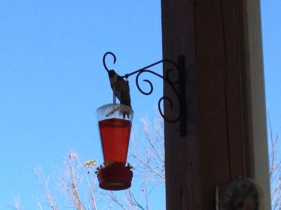 237 Dakota Road, Branson, MO 65616 - Image #2