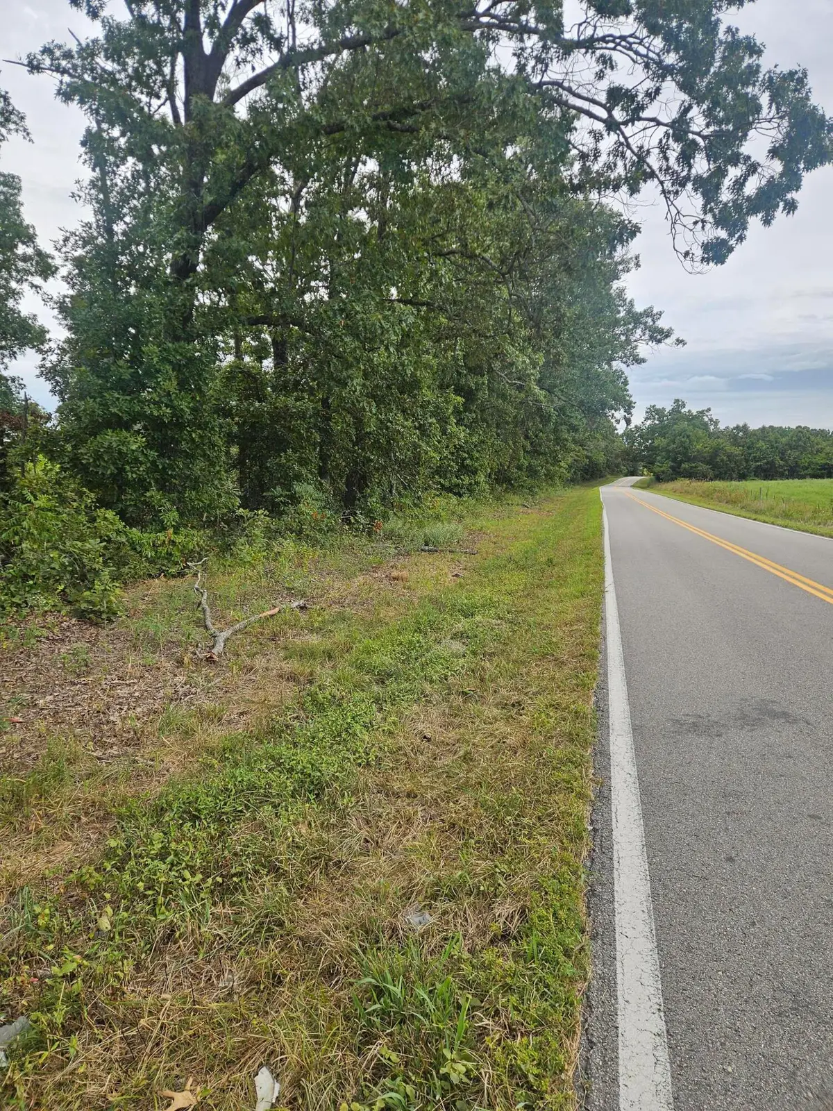 000 Tbd C Highway, Norwood, MO 65717 - Image #1