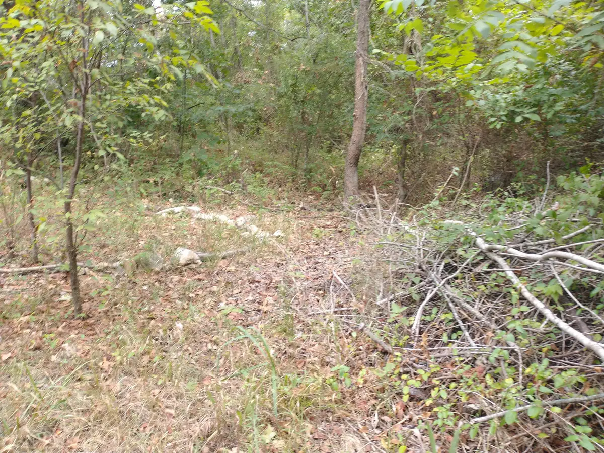 220 Harmony Lane, Branson, MO 65616 - #1