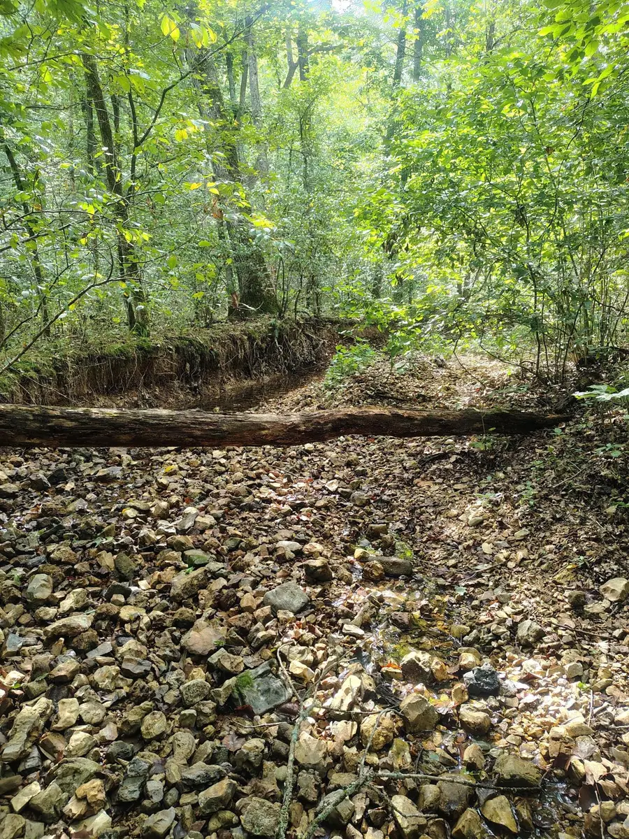 000 Farm Road 1245, Aurora, MO 65605 - Image #2