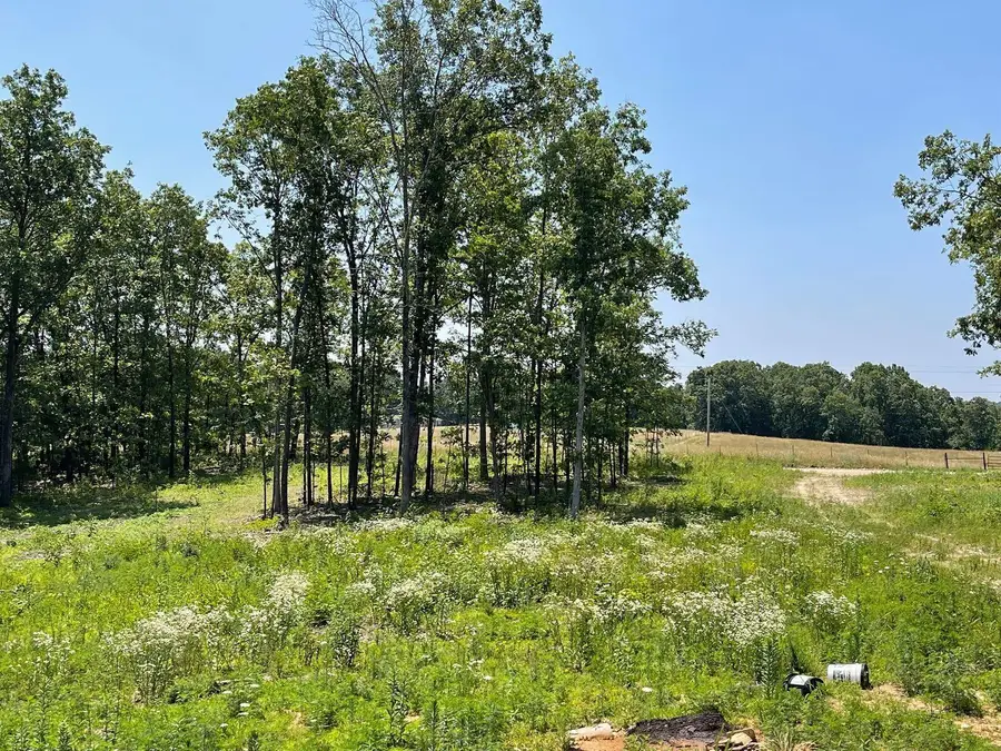 000 Co Rd 3440, Mountain View, MO 65548 - Image #2